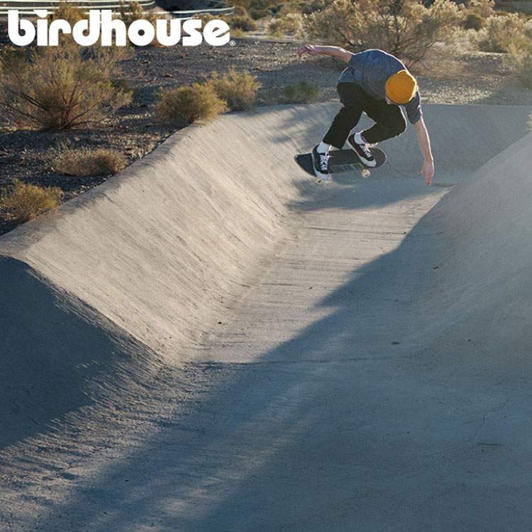 birdhouse_skateboards_2016_2