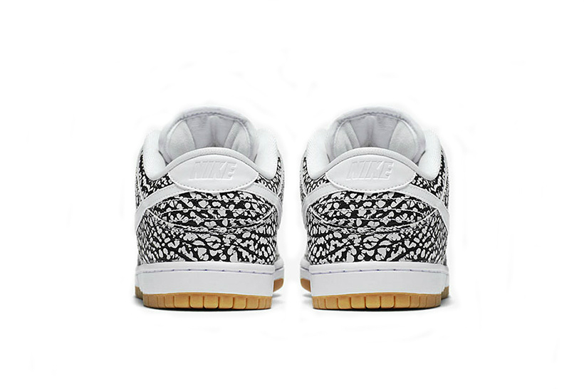 nike_skateboarding_dunk_low_asphalt_2