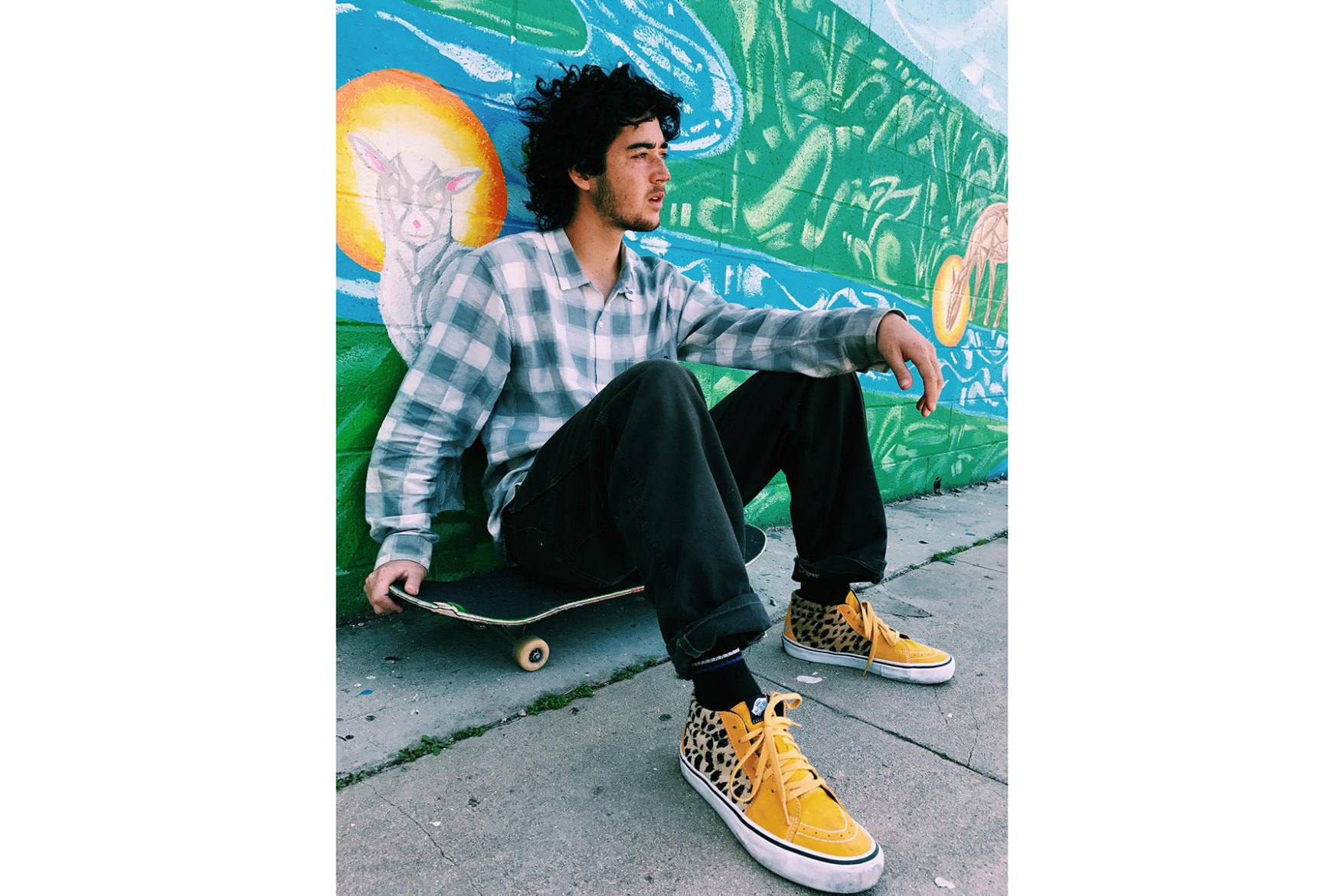Supreme x Vans 2017 Spring/Summer