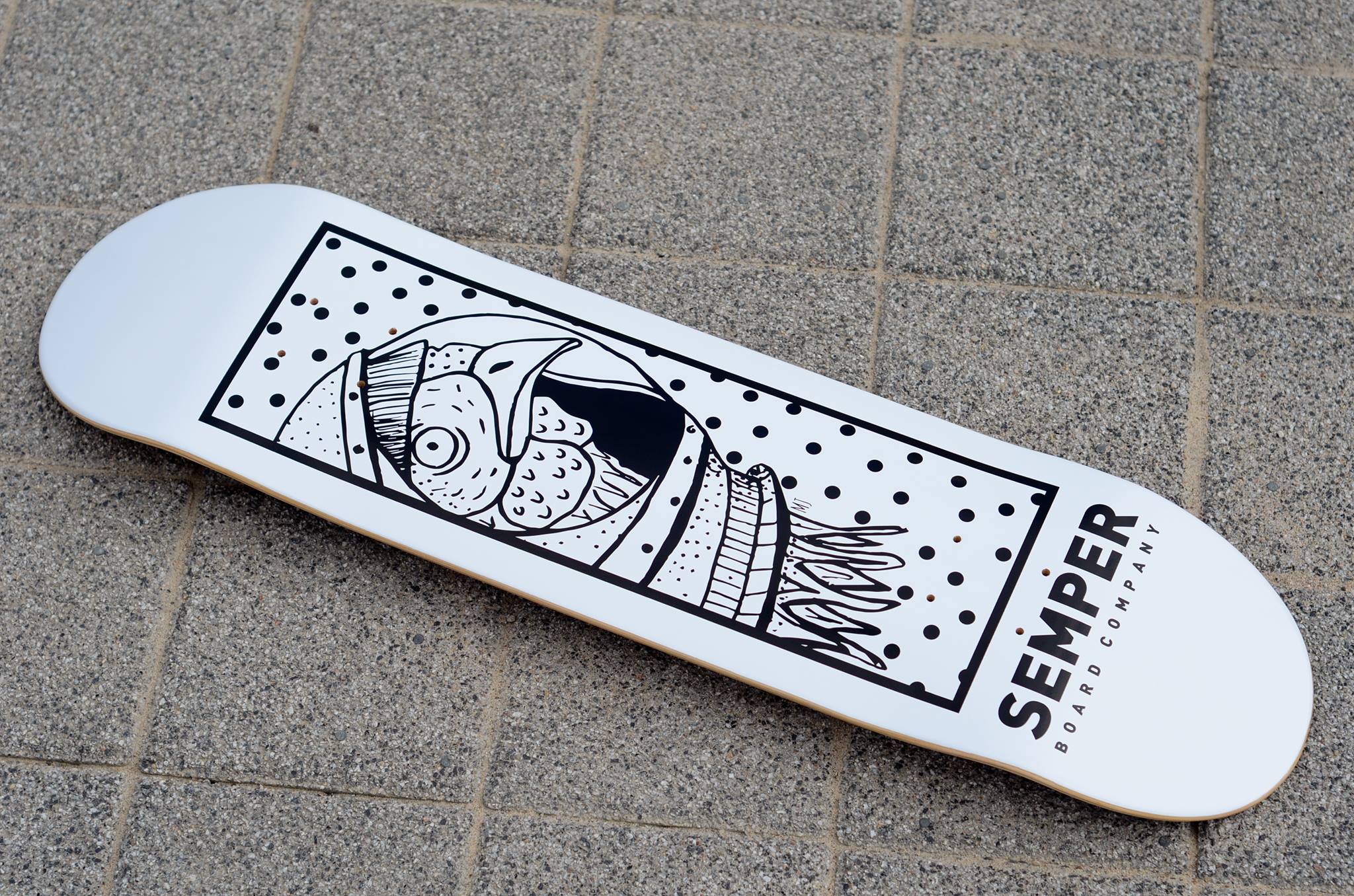Semper Board wiosna 2018