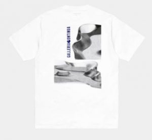 Carhartt WIP skateboarding